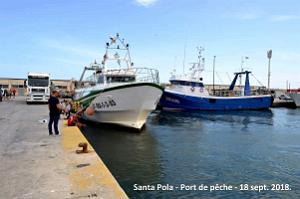 11 SANTA POLA PORT DE PECHE (105)